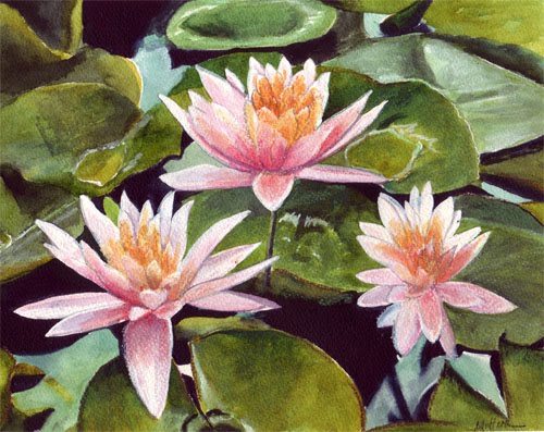 2006 ap literature free response sample essays to paint a water lily ap lit annotation